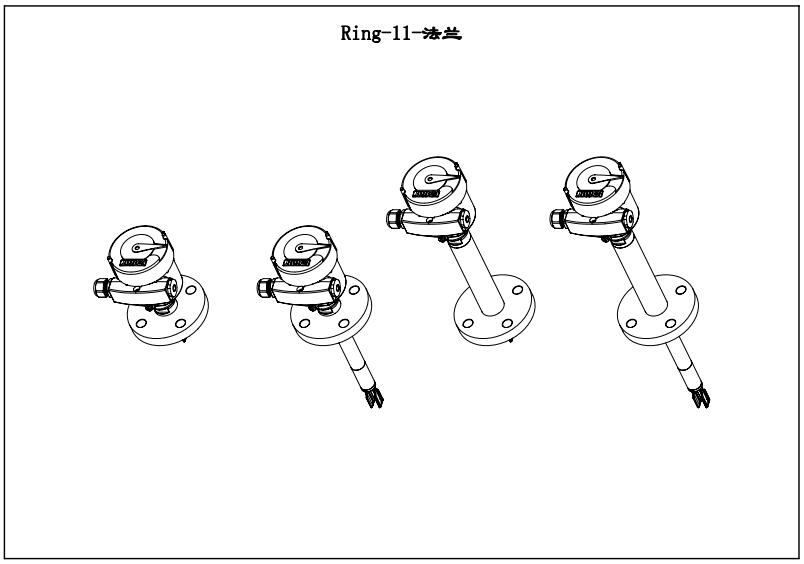 Ring-11防腐型音叉液位開關(guān)（法蘭）