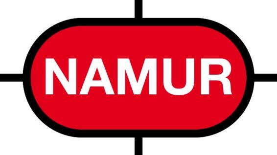 NAMUR輸出的工作原理